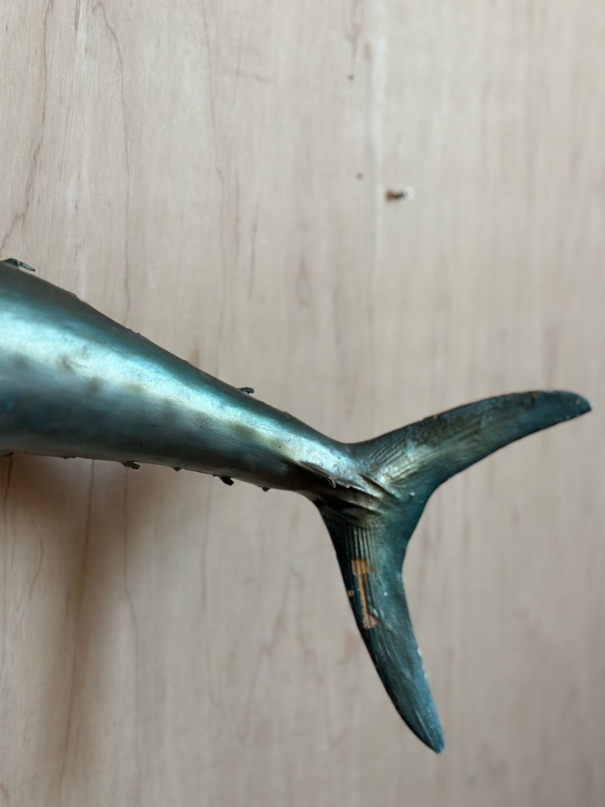 Kingfish Mount