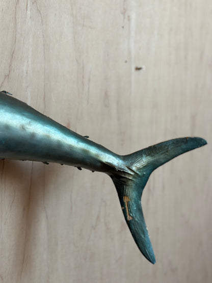 Kingfish Mount