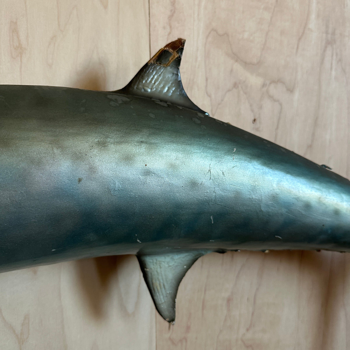 Kingfish Mount