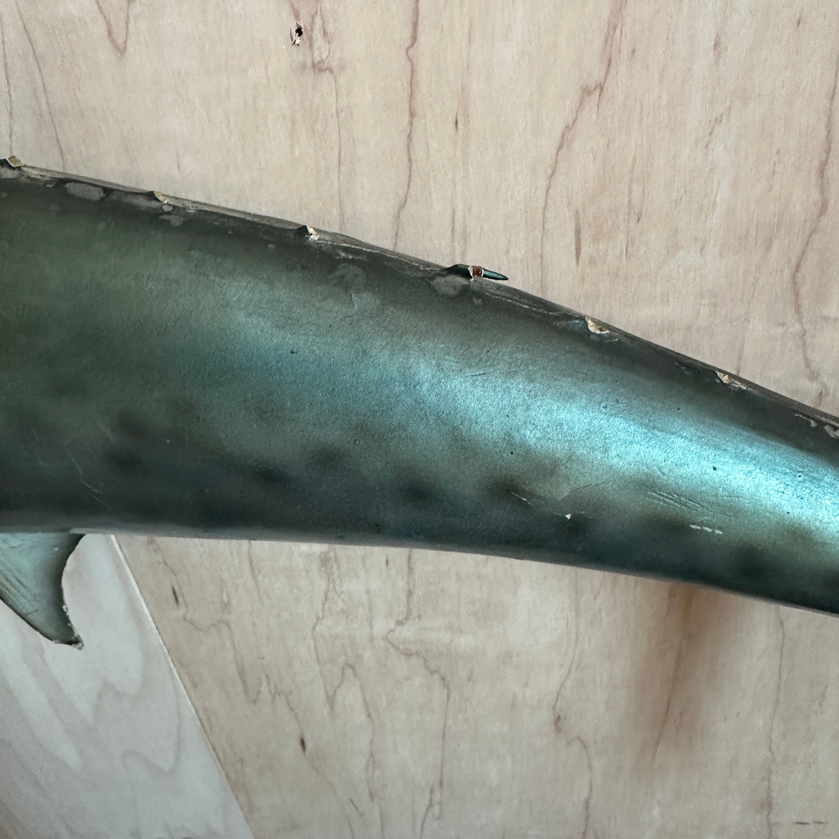 Kingfish Mount