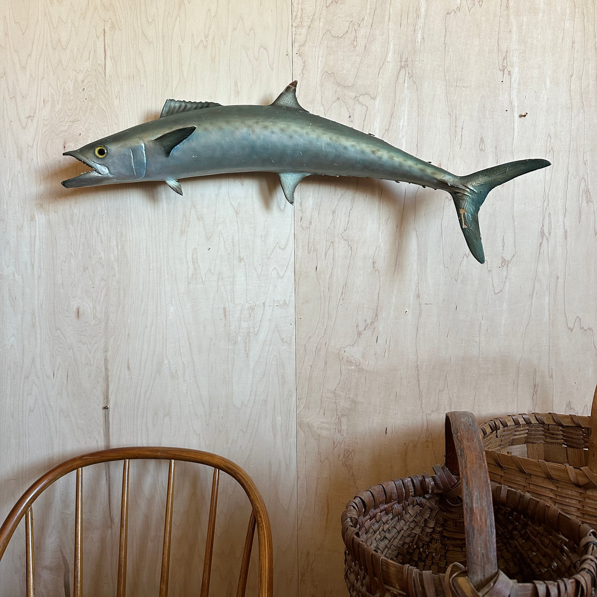 Kingfish Mount