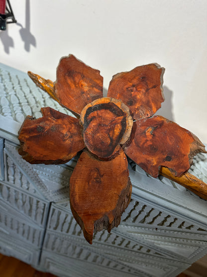 Cedar Flower