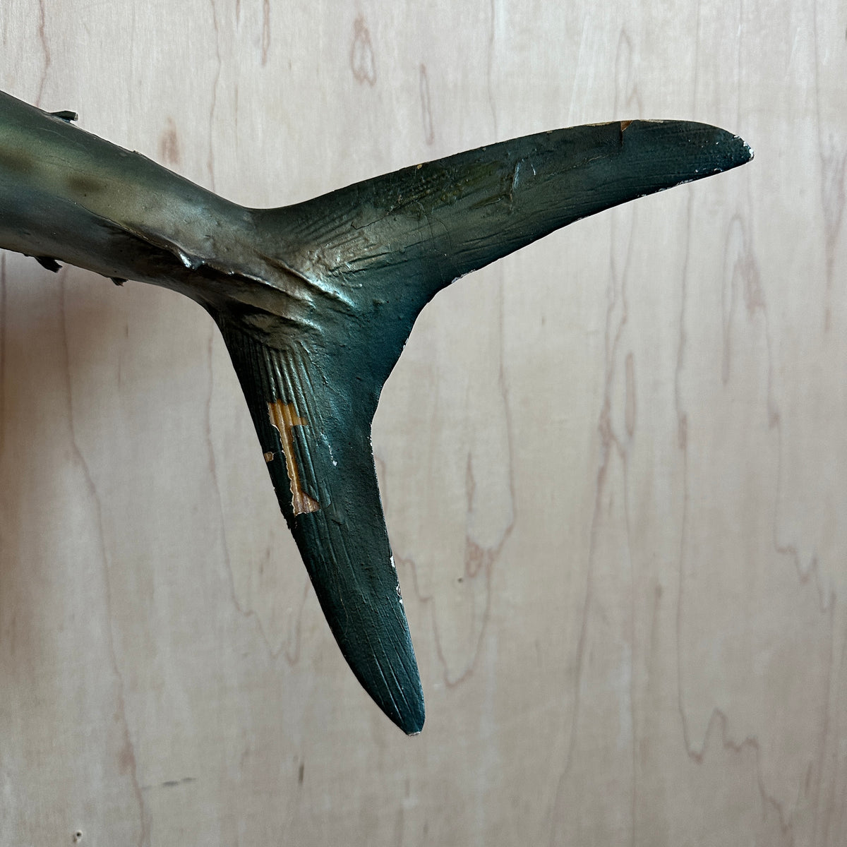 Kingfish Mount