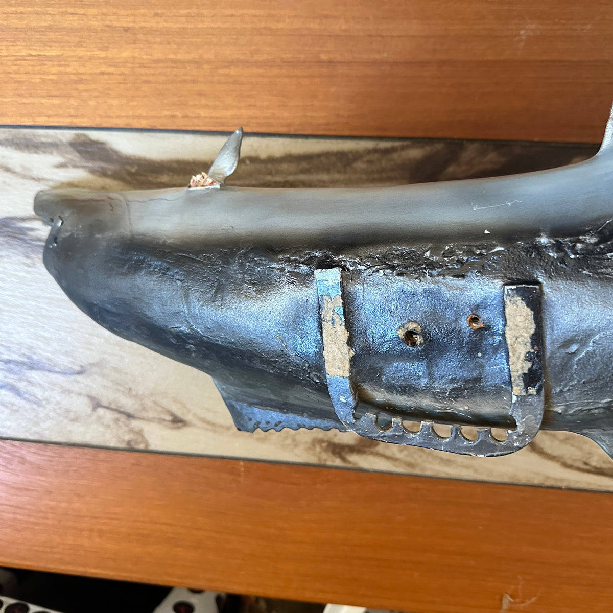 Kingfish Mount