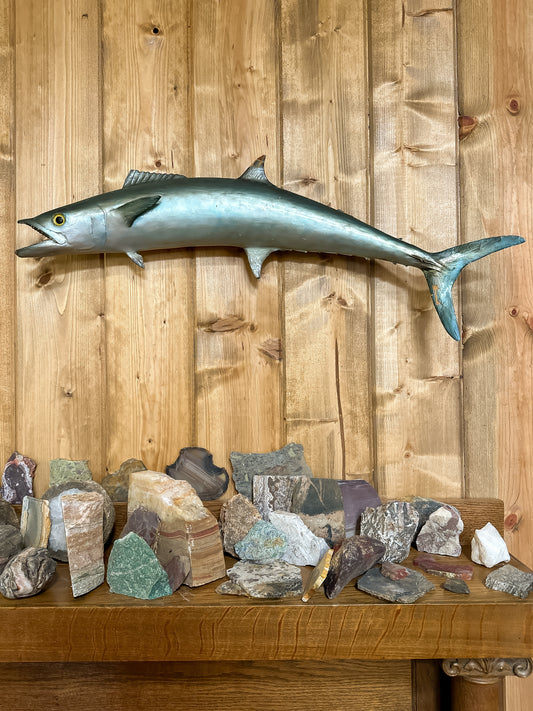 Kingfish Mount