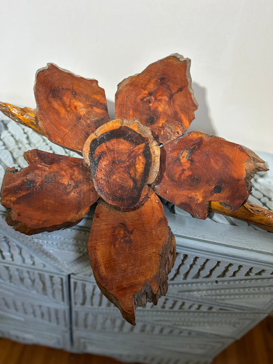 Cedar Flower